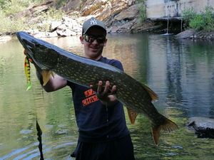 Northern Pike