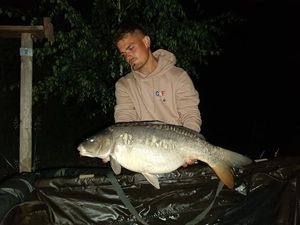 Mirror Carp
