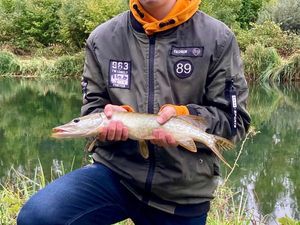 Northern Pike