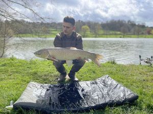 Grass Carp
