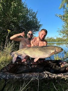 Grass Carp