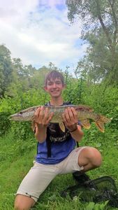 Northern Pike