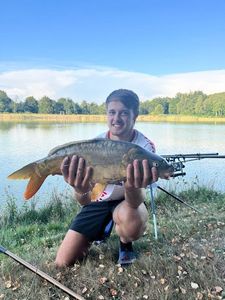 Mirror Carp