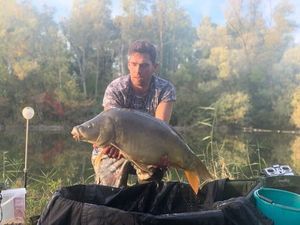 Mirror Carp