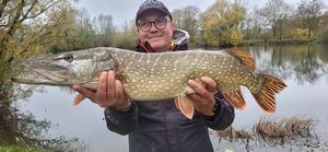 Northern Pike