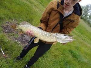 Northern Pike