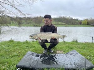 Grass Carp