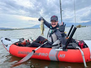 Largemouth Bass