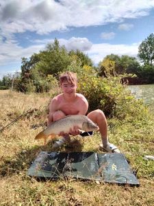 Common Carp