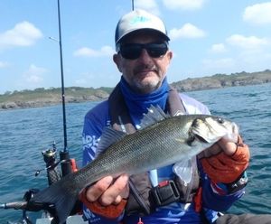 European Bass (Seabass)