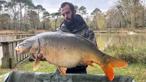 Mirror Carp