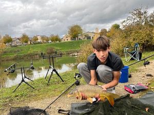 Common Carp