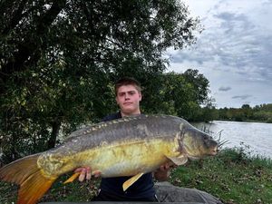Mirror Carp