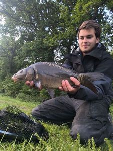 Mirror Carp