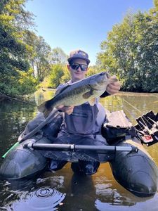 Largemouth Bass