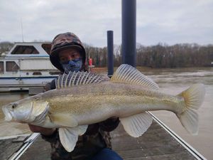 Zander