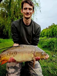 Mirror Carp