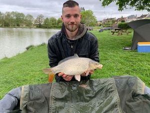 Common Carp