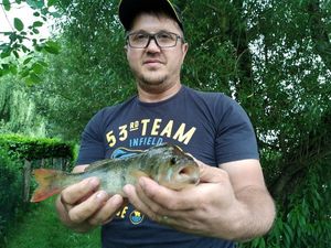 European Perch