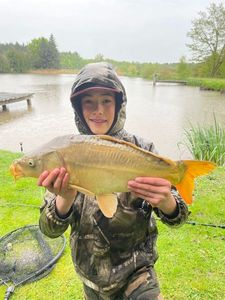 Mirror Carp