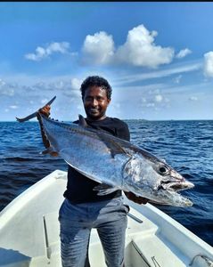 Dogtooth Tuna