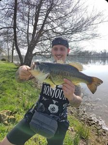 Largemouth Bass