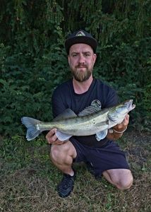 Zander