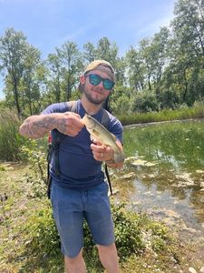 Largemouth Bass