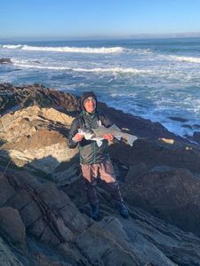 European Bass (Seabass)