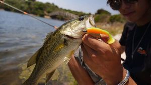 Largemouth Bass