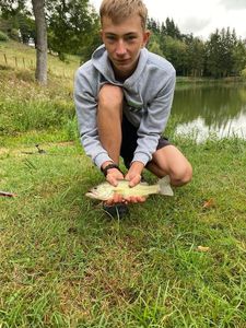 Largemouth Bass