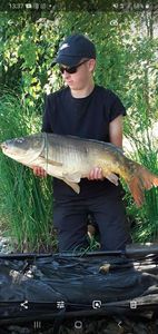 Mirror Carp