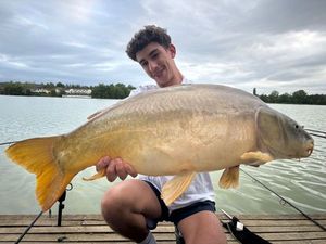 Mirror Carp