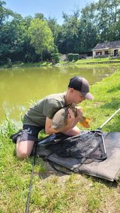 Mirror Carp