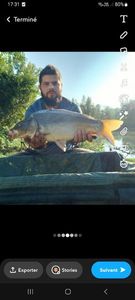 Mirror Carp