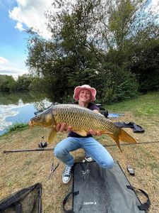 Common Carp
