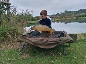 Common Carp