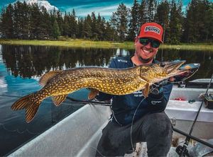Northern Pike