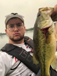 Largemouth Bass