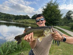 Largemouth Bass