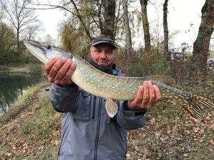 Northern Pike