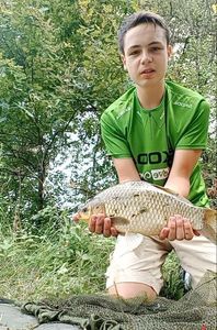 Crucian Carp