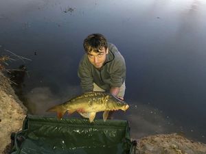 Mirror Carp