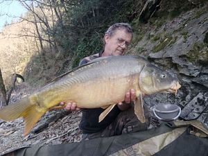 Mirror Carp