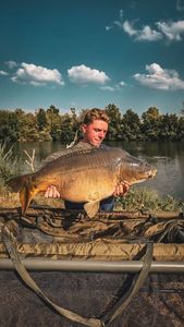 Mirror Carp