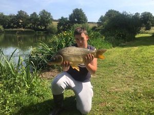 Common Carp