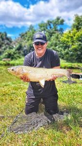 Grass Carp