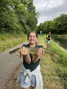 Northern Pike