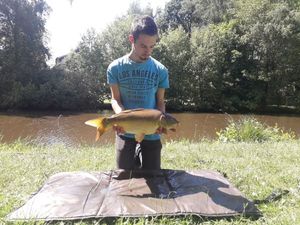 Mirror Carp