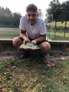Largemouth Bass